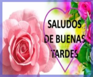 Mensajes de Buenas Tardes con Saludos