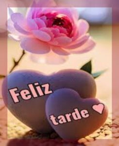 Tarde maravillosa agradable